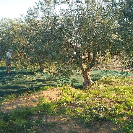 Casal Duca 4* טלסנו