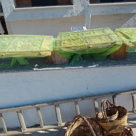 Bed & Breakfast Casal Duca 4*