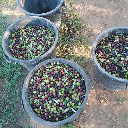 Bed & Breakfast Casal Duca Talsano